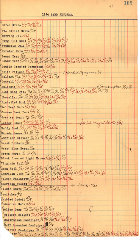 A handwritten list of bird sighting records from 1924 compiled by Walter Rosene, organized by species and annotated with sighting dates.