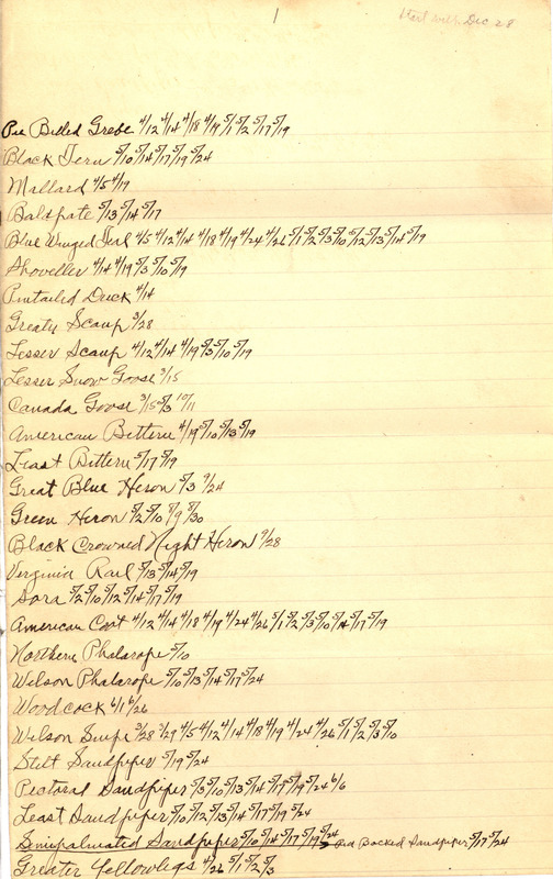 A handwritten list of bird sighting records compiled by Walter Rosene, organized by species and annotated with sighting dates.