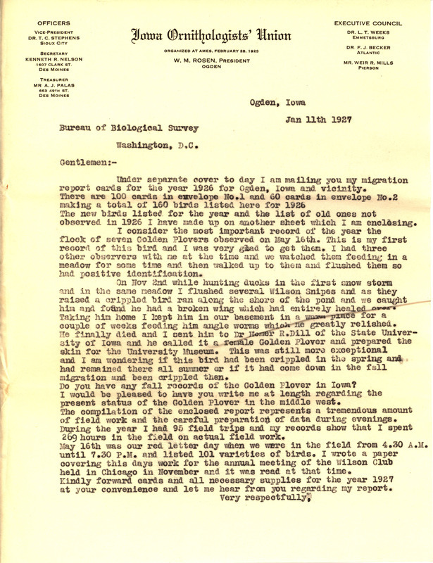 Letter from Walter Rosene to Bureau of Biological Survey dated January 11, 1927. Rosene states that he is sending his 1926 migration cards under separate cover and recounts keeping a crippled Golden Plover in his basement for a couple of weeks.