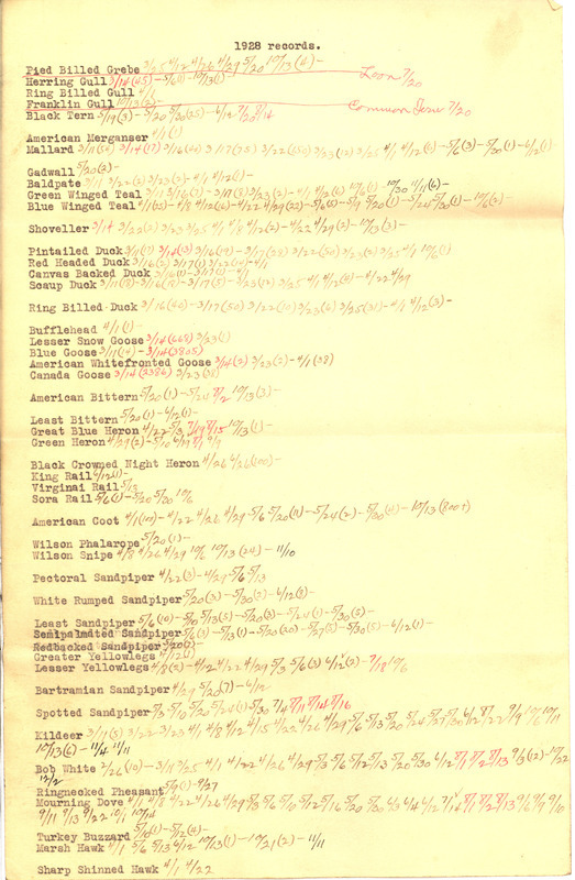 List of birds sighted by Walter Rosene during 1928 annotated with sighting dates.