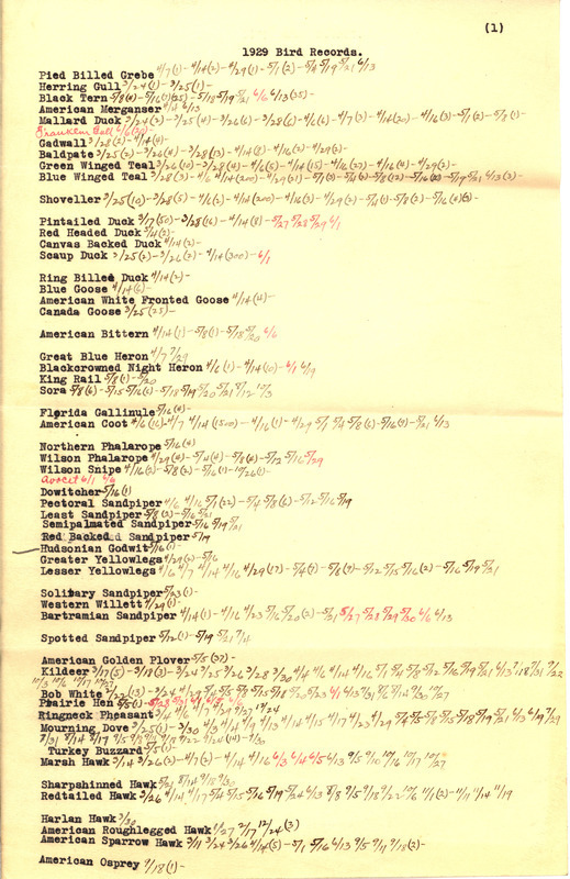 List of birds sighted by Walter Rosene during 1929 annotated with sighting dates.