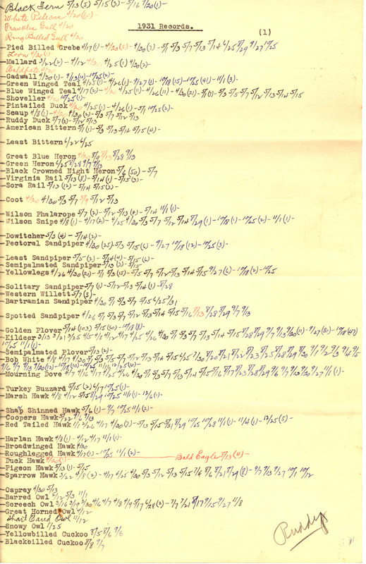 List of birds sighted by Walter Rosene during 1931 annotated with sighting dates.