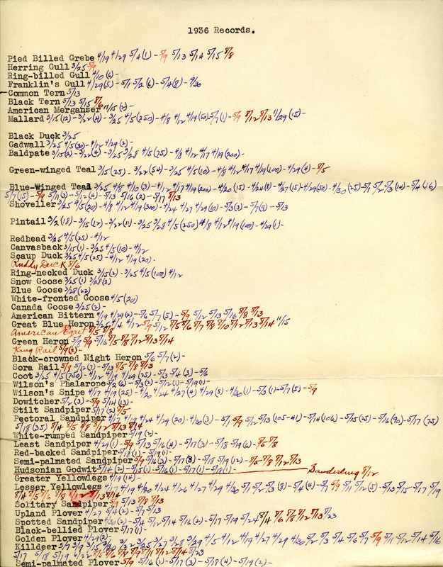 List of birds sighted by Walter Rosene during 1936 annotated with sighting dates.