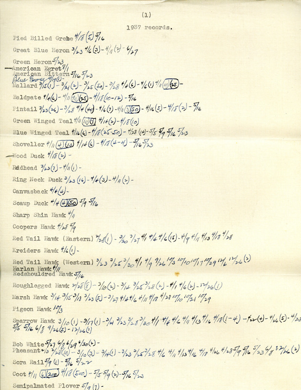 List of birds sighted by Walter Rosene during 1937 annotated with sighting dates.