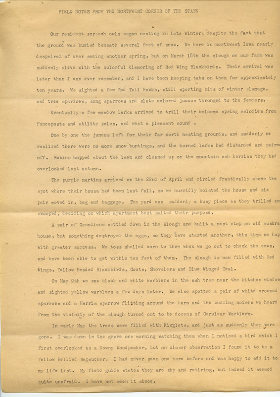 An essay by Loraine Wallace detailing field notes from bird sightings in Spirit Lake. The essay covers the species of birds seen, the behavior of the birds and nesting habits.