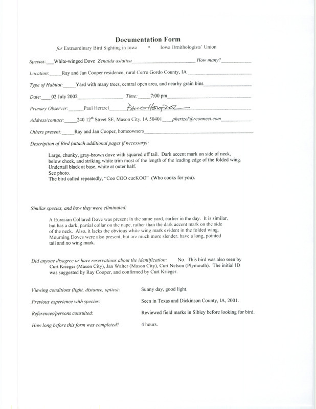 Documentation of a White-winged Dove sighting in Cerro Gordo County contributed by L. Paul Hertzel, July 2, 2002. This item was used as supporting documentation for the Iowa Ornithologists' Union Quarterly field report of summer 2002.