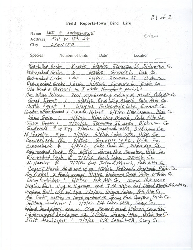 Summer report of birds and locations contributed by Lee A. Schoenewe. This item was used as supporting documentation for the Iowa Ornithologists' Union Quarterly field report of summer 2002.