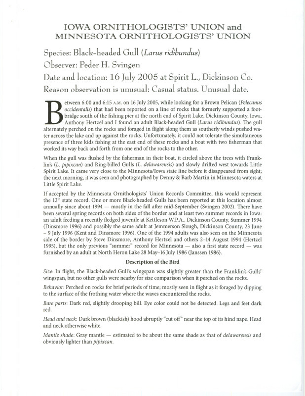 Documentation of a Black-headed Gull sighting at Spirit Lake contributed by Peder H. Svingen, July 16, 2005. This item was used as supporting documentation for the Iowa Ornithologists' Union Quarterly field report of summer 2005.