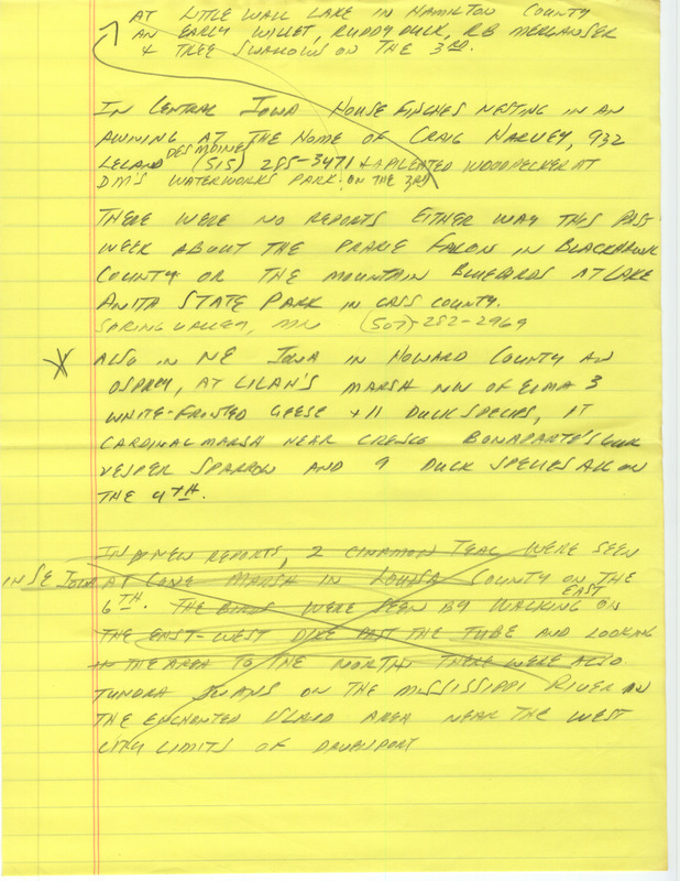 Notes for the Iowa Birdline update for April 3, 1989. Highlights include a pair of Cinnamon Teal, Ruddy Ducks, an early Willet and an unusual mostly white American Robin.