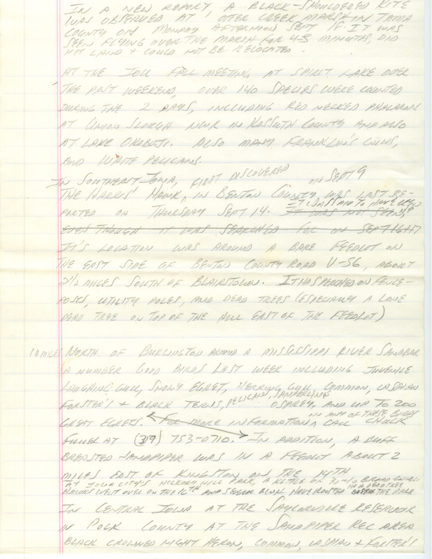 Notes for the Iowa Birdline update for September 18, 1989. Highlights include the sighting of a Black-shouldered Kite and reports from the Iowa Ornithologists' Union fall meeting.