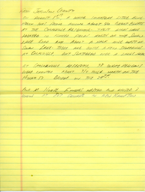 Notes for the Iowa Birdline update for July 30, 1990. Highlights of the update include sightings of a white immature Little Blue Heron, a Ringed Turtle-Dove, nesting House Finches, and a fourth report of a Red Crossbill. Also of note were several observations of shorebirds, including a Wilson's Phalarope, a Short-billed Dowitcher, Stilt Sandpipers, and numerous American White Pelicans.