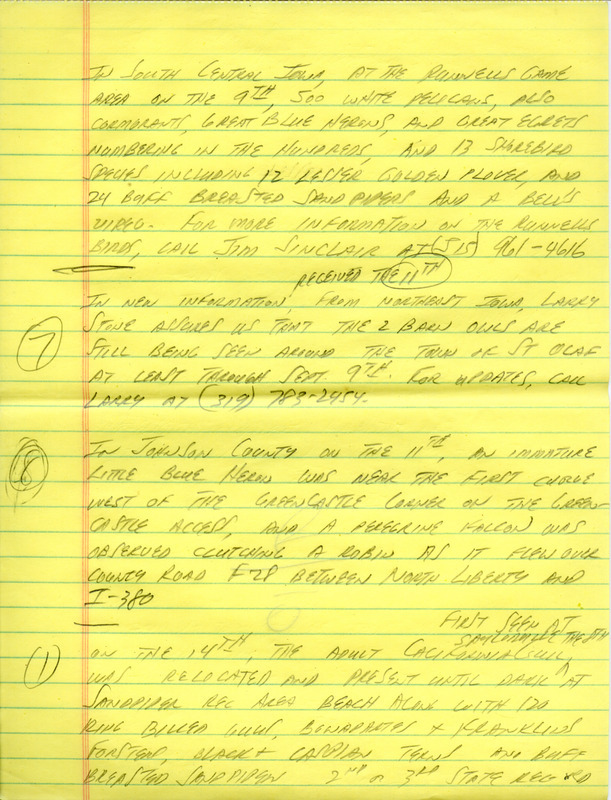 Iowa Birdline update for September 10, 1990. Highlights of the update include sightings of a California Gull, Red Knots, a Parasitic Jaeger, Red-necked Phalaropes, and Snowy Egrets. Also of note were the sightings of an immature Little Blue Heron, a Laughing Gull, and Barn Owls, as well as observations of numerous shorebirds and Warblers.