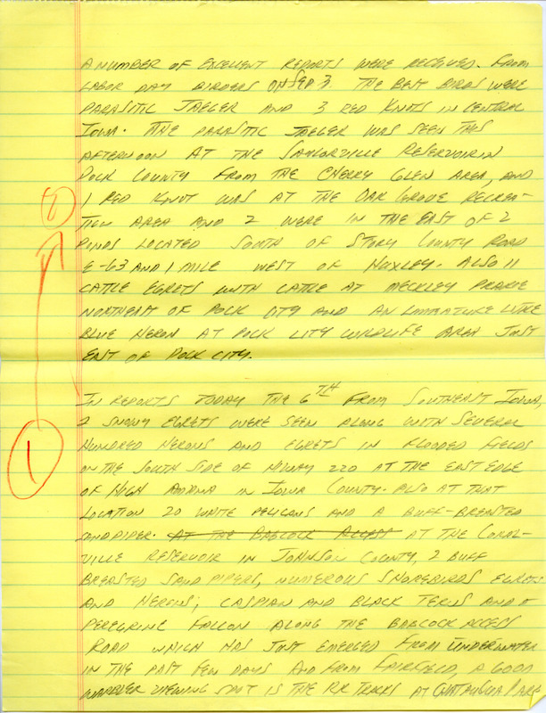 Iowa Birdline update for September 3, 1990. Highlights of the update include sightings of a Parasitic Jaeger and Red Knots. Other sightings of note were of Snowy Egrets, Barn Owls, Little Blue Herons, adult and immature Common Moorhens, and 100's of Great Blue Herons and Great Egrets. Also reported were numerous species of shorebirds, waterfowl, Plovers, and Warblers.