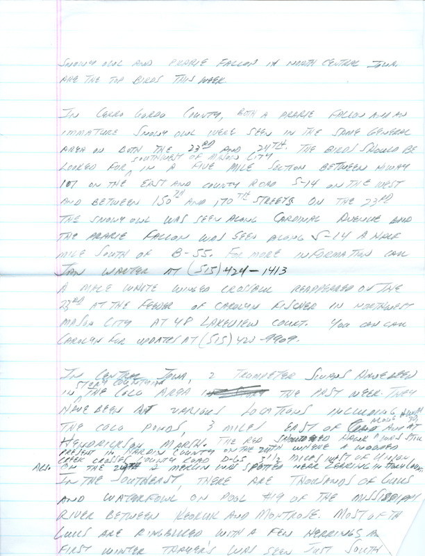 Notes for the Iowa Birdline update for February 25, 1991. Highlights include a Prairie Falcon and an immature Snowy Owl sighted in the same general area.