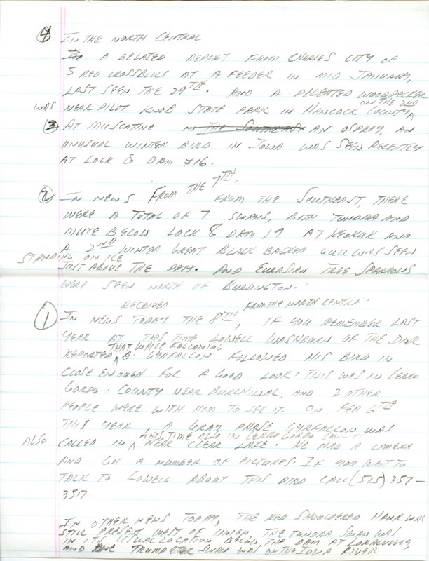 Email of the Iowa Birdline update for February 4, 1991. Highlights include reports of owls, swans and eagles. Includes hand written notes in preparation for next week's update.