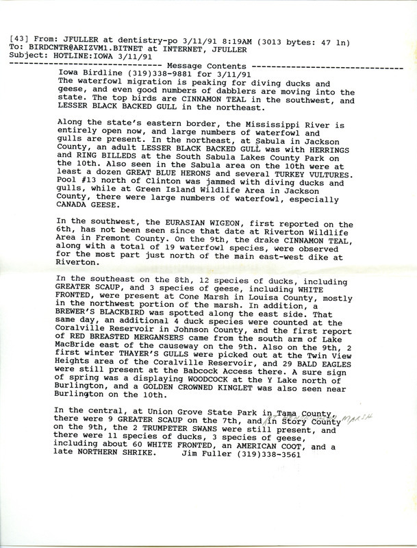 Email of the Iowa Birdline update for March 11, 1991. Highlights include a Cinnamon Teal and a Lesser Black-backed Gull. Waterfowl migration is peaking for diving ducks and geese.