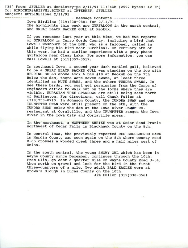 Email of the Iowa Birdline update for February 11, 1991. Highlights include a Gyrfalcon and a Great Black-backed Gull.