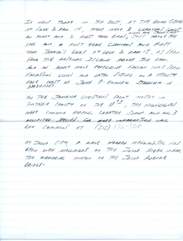 Email of Iowa Birdline updates for December 16, 1991. The highlights for the update include the sighting a Marbled Murrelet, Glaucous Gulls including two first year birds, and a first year Thayer's Gull. Also included are handwritten notes with sightings of a Common Redpoll, White-winged Crossbill, Snow Bunting, Long and Short-eared Owls and twelve Eurasian Tree Sparrows.