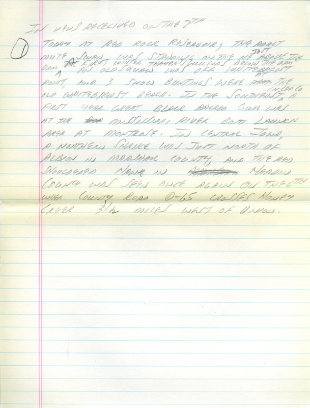 Email of Iowa Birdline updates for December 2, 1991. The highlights for the update include sightings of Thayer's Gulls, Lesser Black-backed Gull, both a Mute Swan and an immature Tundra Swan, White-winged Scoter and a Long-tailed Duck. Also included are handwritten notes with sightings of a Great Black-backed Gull and an immature Golden Eagle.