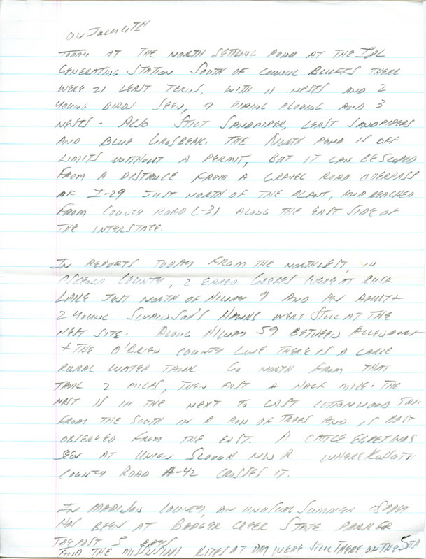 Email of Iowa Birdline updates for July 1,1991. The highlights for the update include sightings of three young and two adult Barn Owls, Mississippi Kites and Western Grebes. Also included are handwritten notes with sightings of 21 Least Terns with 11 nests and nine Piping Plovers with three nests.