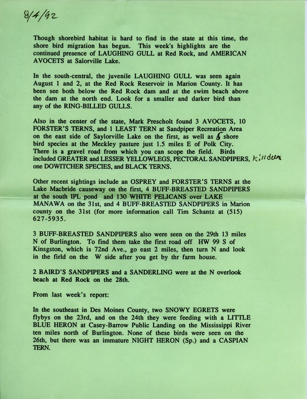 Iowa Birdline updates for August 4, 1992. The highlights for the update include sightings of the continued presence of the juvenile Laughing Gull at Red Rock Reservoir and American Avocets at Saylorville Lake.