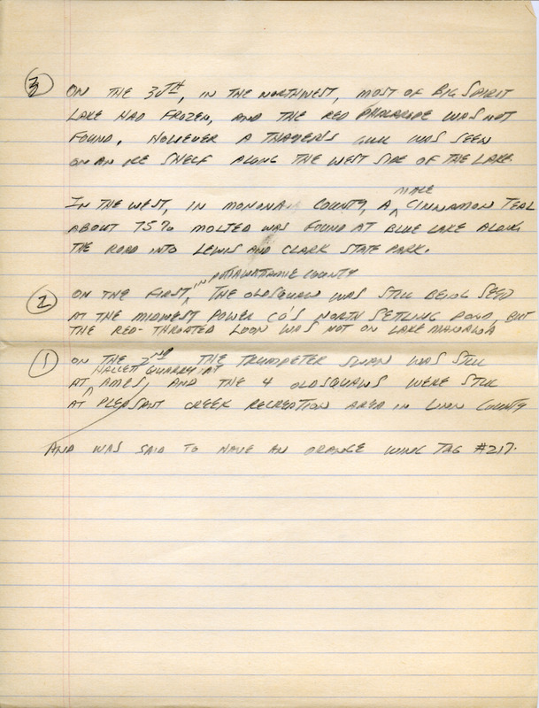 Email of the Iowa Birdline update for November 28, 1994. Highlights of the update include sightings of a Black-headed Gull, a Red Phalarope, a Red-throated Loon, a Prairie Falcon, and a Snowy Owl. Also of note were observations of several species of Ducks, Grebes, and Swans. Also included are handwritten notes for the next week's update with sightings of a Thayer's Gull and a male Cinnamon Teal along with updates of previously seen birds.