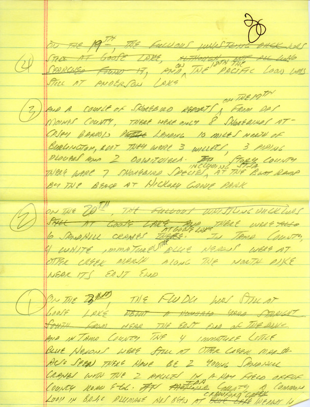 Email of the Iowa Birdline update for July 18, 1994. Highlights of the update include sightings of a Fulvous Whistling Duck, a Pacific Loon, Black Rails, and King Rails. Also included are handwritten notes for the next week's update with sightings of Sandhill Cranes, Little Blue Herons, and previously seen birds.