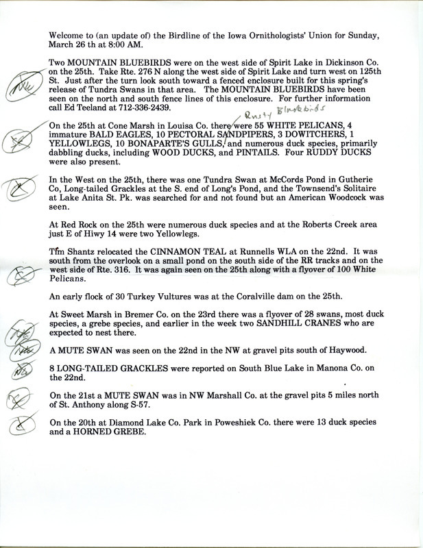 Iowa Birdline updates for March 20-26, 1995. The highlights for the update include sightings of Mountain Bluebirds, Townsend's Solitaire, Cinnamon Teal and the continued presence of a female Common Eider. Also included were sightings of fifty five American White Pelicans and numerous duck species.