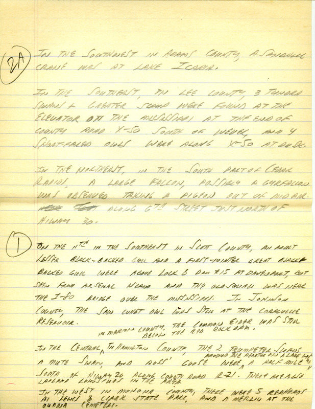 Email for the Iowa Birdline update for February 6, 1995. Highlights of the update include sightings of the continued presence of the Common Eider, Lesser Black-backed Gull and the Long-tailed Duck, a new highlight was the sighting of a Varied Thrush. Also included are handwritten notes for the next week's update with sightings of three Tundra Swans, a Greater Scaup and four Short-eared Owls.