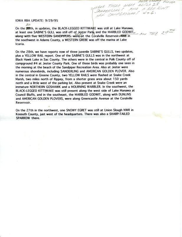 Iowa RBA update for September 19-29, 1995. Highlights of the update include sightings of a Red Phalarope, Black-legged Kittiwake, Jaeger (species unidentified), Marbled Godwit and three juvenile Sabine's Gulls.