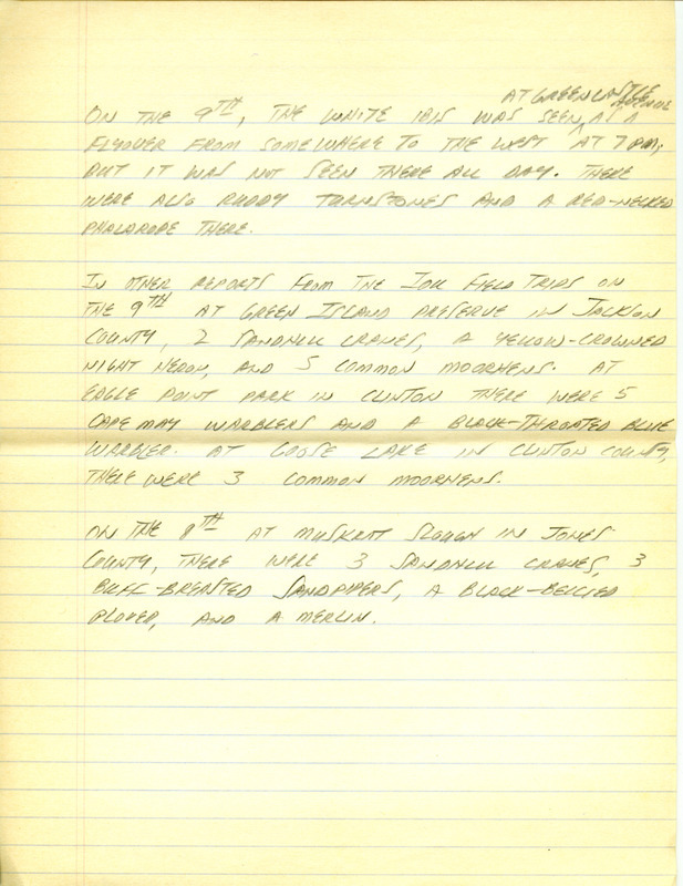 Iowa RBA update for September 4-5, 1995. Highlights of the update include sightings of a Black-throated Blue Warbler, four Sandhill Cranes, White Ibis, Ruddy Turnstone and two Black-bellied Plovers. Contains numerous reports of Red-breasted Nuthatch sightings. Also included are handwritten notes for the next week's update with sightings of a juvenile Sabine's Gull and a Yellow-crowned Night Heron.