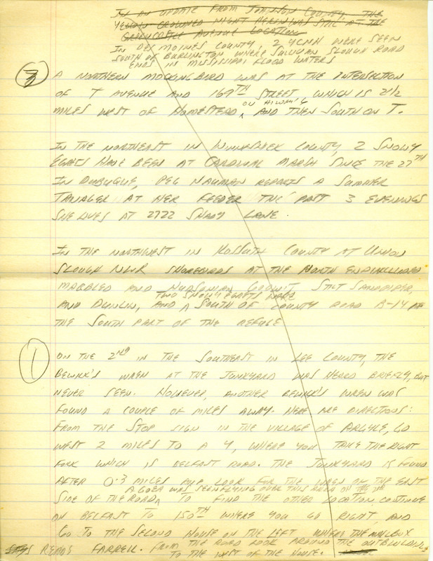 Iowa RBA update for April 29, 1996. Highlights of the update include sightings of White-faced Ibis, Little Blue Heron, Piping Plover, Red-necked Phalarope, Marbled Godwit and a White-winged Scoter. Also included are handwritten notes for the next week's update with sightings of Willets, Stilt Sandpipers and a Long-billed Dowitcher.