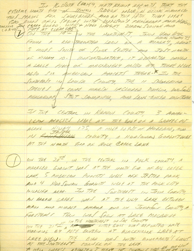 Iowa RBA update for April 15, 1996. Highlights of the update include sightings of two female Surf Scoters, Cattle Egrets, Great-tailed Grackles and a Hudsonian Godwit. Also included are handwritten notes for the next week's update with sightings of the first Orange-crowned Warbler of the season, Louisiana Waterthrush and a Yellow-throated Warbler.