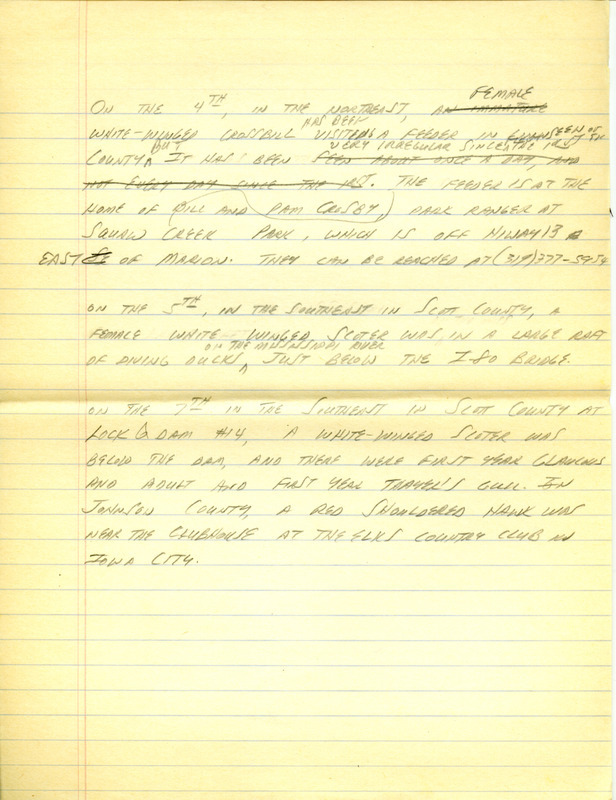 Iowa RBA update for March 4, 1996. Highlights of the update include sightings of a Great Gray Owl, Northern Shrike, Northern Saw-whet Owl, two first year Glaucous Gulls and three first year Thayer's Gulls. Also included are handwritten notes for the next week's update with sightings of a female White-winged Crossbill and a White-winged Scoter.