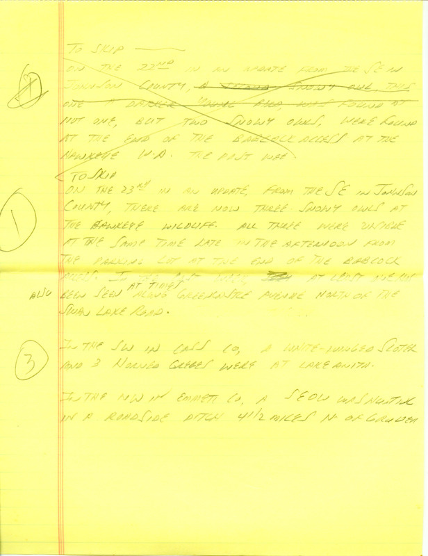 Iowa RBA update for November 18, 1996. Highlights of the update include sightings of a Pomarine Jaeger, a Snowy Owl, Western Grebes, Long-tailed Ducks, a Thayer's Gull, and a Pacific Loon. Also included are handwritten notes for the next week's update with sightings of a White-winged Scoter, Horned Grebes, and a Scarlet Tanager.