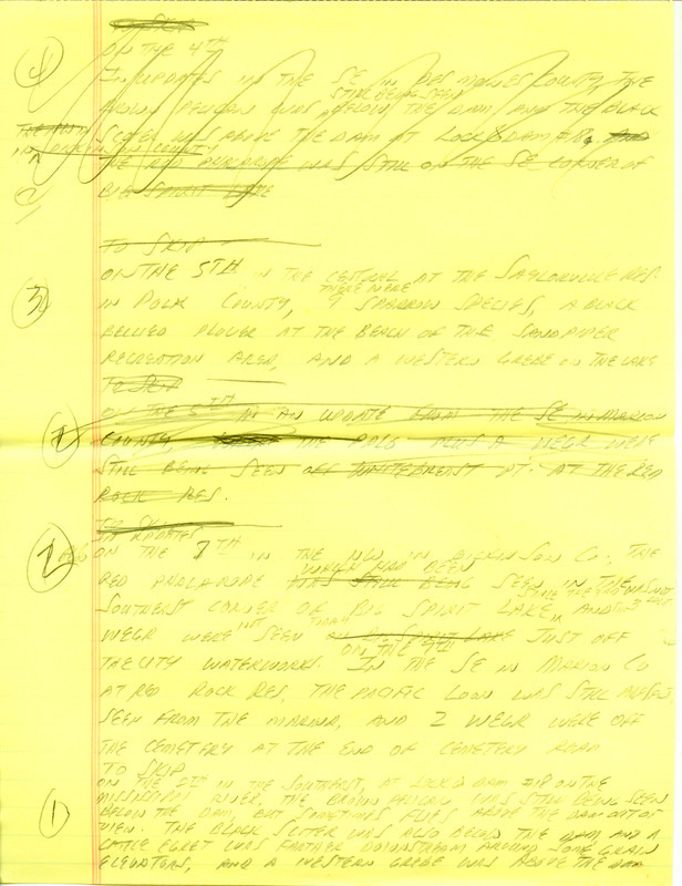 Iowa RBA update for November 4, 1996. Highlights of the update include a Brown Pelican, a Black Scoter, a Pacific Loon, and Prairie Falcons. Other interesting observations were of a Red Phalarope, Red-necked Grebe, Gyrfalcon, and several species of Gulls. Also included are handwritten notes for the next week's update with sightings of 9 Sparrow species and a Western Grebe.