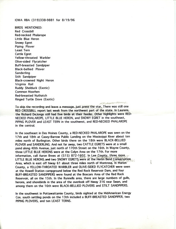 Iowa RBA update for August 19, 1996. Highlights of the update include sightings of a Red Crossbill, Red-necked Phalaropes, Little Blue Herons, Snowy Egret, Piping Plover, and Least Tern. Also of note were the sightings of two exotic birds, a Ringed Turtle-Dove and a Ruddy Shelduck.