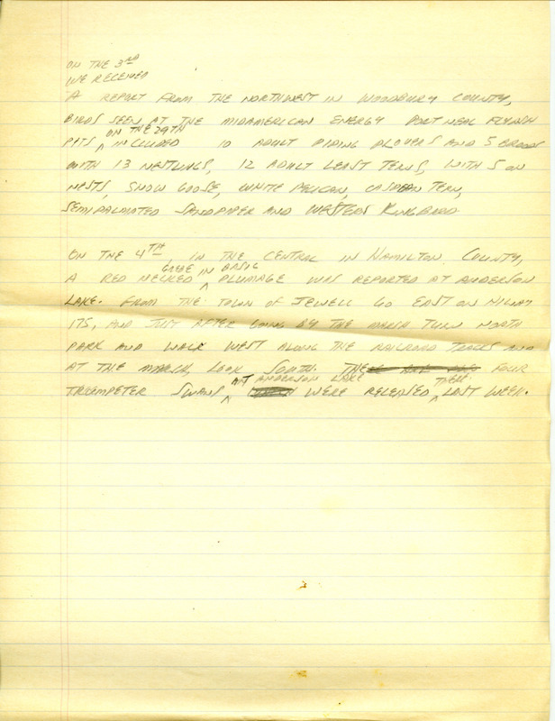 Iowa RBA update for July 1, 1996. Highlights of the update include the continued presence of a Black-headed Gull and sightings of a Marbled Godwit, Western Grebe, Least Terns, twelve White-faced Ibis, and Little Blue Herons. Other interesting observations include a Snowy Egret, a Piping Plover, a Prairie Warbler, and a Worm-eating Warbler. Also included are handwritten notes for the next week's update with sightings of a Western Kingbird and a Red-necked Grebe.