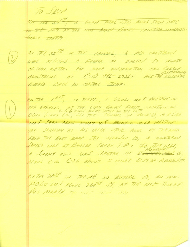 Iowa RBA update for February 24, 1997. Highlights of the update include the continued presence of Great Gray Owls and a Ferruginous Hawk as well as sightings of a Prairie Falcon and a Townsend's Solitaire. Also included are handwritten notes for the next week's update with sightings of a Northern Shrike and six Red Crossbills.