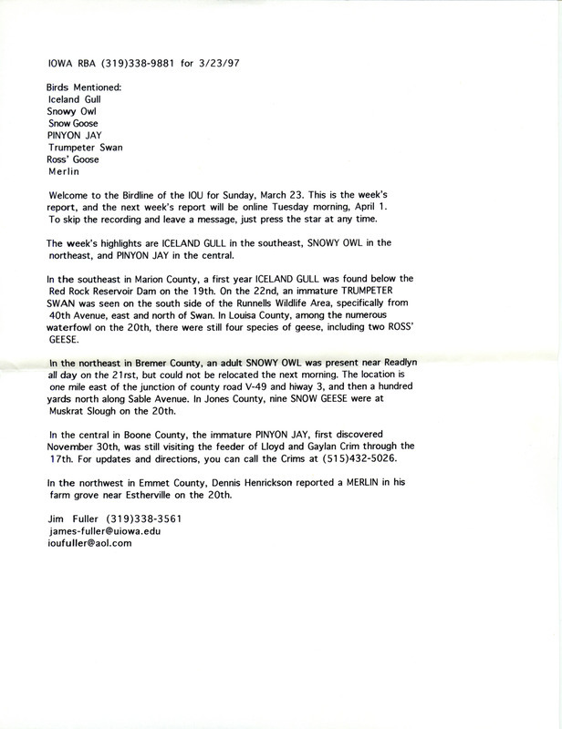 Iowa RBA updates for March 23 and March 31, 1997. Highlights of the two updates include the continued presence of a Pinyon Jay as well as sightings of a first year Iceland Gull and an adult Snowy Owl. Also of note were the observations of early shorebird and passerine migrants in addition to a drake Cinnamon Teal and a Smith's Longspur. Also included are handwritten notes for the next week's update with sightings of a Northern Mockingbird and a Spotted Towhee.