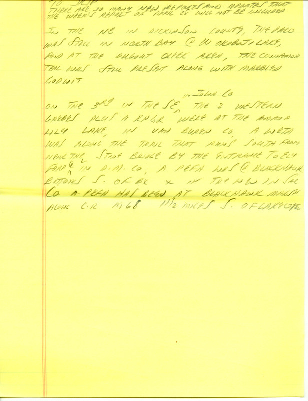 Iowa RBA update for April 28, 1997. Highlights of the update include sightings of a Long-tailed Duck and a Cinnamon Teal as well as the continued presence of a Red-throated Loon and a Pacific Loon. Also included are handwritten notes for the next week's update with sightings of a White-winged Dove, Western Grebes, and Greater Prairie-Chickens.