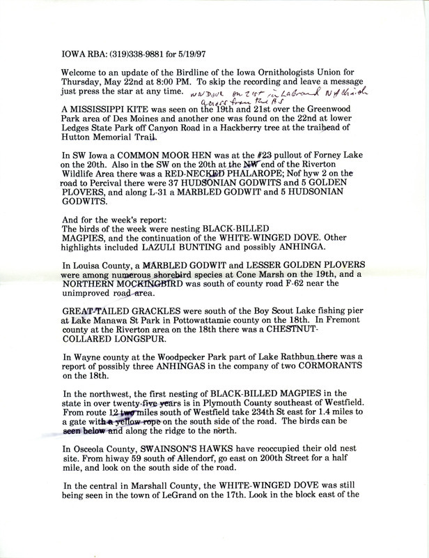 Iowa RBA update for May 19, 1997. Highlights of the update include nesting Black-billed Magpies and the continued presence of a White-winged Dove. Also of note were sightings of Lazuli Buntings and Anhingas as well as birds seen on field trips held during the IOU Tri-state Meeting in Sioux City. Also included is a brief update from May 22, 1997, with sightings of a Mississippi Kite and a Common Moorhen.