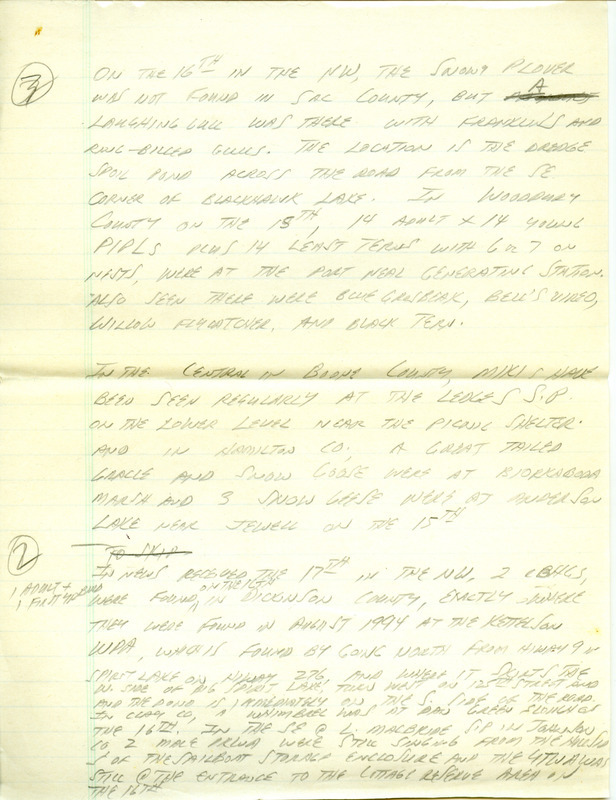 Iowa RBA update for June 16, 1997. Highlights of the update include sightings of a Snowy Plover, Black-billed Magpies, a Prairie Warbler, and a Western Grebe. Also included are handwritten notes for the next week's update with sightings of a Laughing Gull, Mississippi Kites, and Black-headed Gulls.