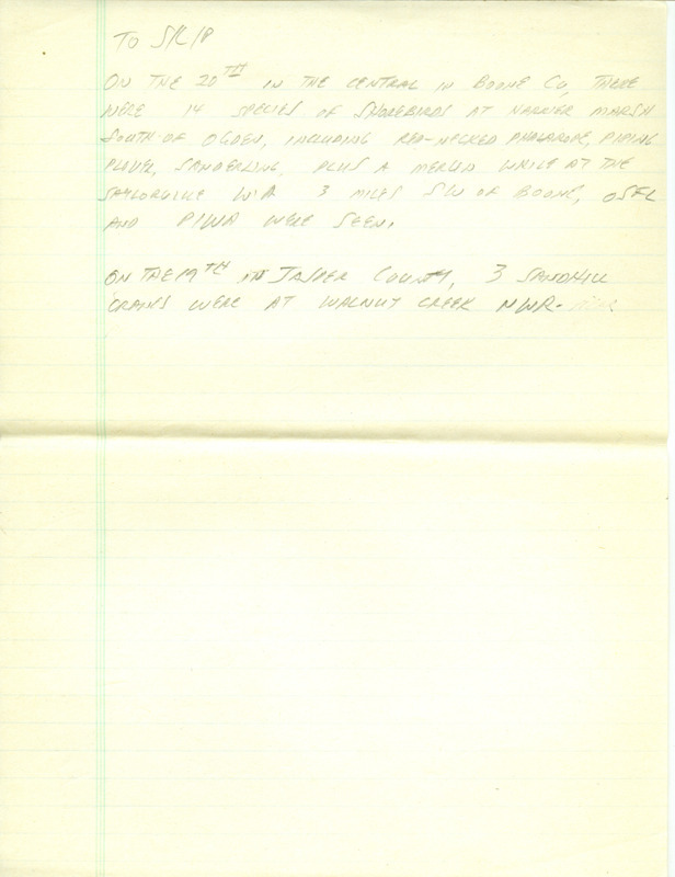 Iowa RBA update for August 18, 1997. Highlights of the update include sightings of a Roseate Spoonbill, Snowy Egret, an Ibis species, and a Pacific Loon. Also of note was the large number of shorebirds passing through the state and the beginning of the Passerine movement. Also included are handwritten notes for the next week's update with sightings of a Red-necked Phalarope, Sandhill Cranes, Olive-sided Flycatcher, and a Pine Warbler.