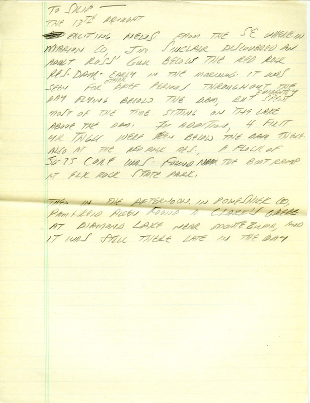 Iowa RBA update for December 8, 1997. Highlights of the update include sightings of a Varied Thrush, White-winged Crossbills, Common Redpolls, a Hoary Redpoll, a first year Thayer's Gull, and two Surf Scoters. Also included are handwritten notes for the next week's update with sightings of a Ross's Gull, a Clark's Grebe, and a Ringed Turtle-Dove as well as reports of numerous species of Sparrows.