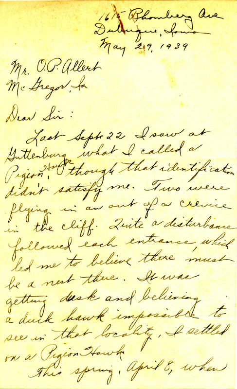 Letter from Margaret Kohlman to Oscar Allert dated May 29, 1939. Kohlman details her sightings of a Peregrine Falcon that she originally misidentified as a Merlin. This letter was summarized in Allert's article "Notes on Certain Raptores in Allamakee, Clayton and Dubuque Counties, Iowa," published in Iowa Bird Life, vol. 9, no. 3.