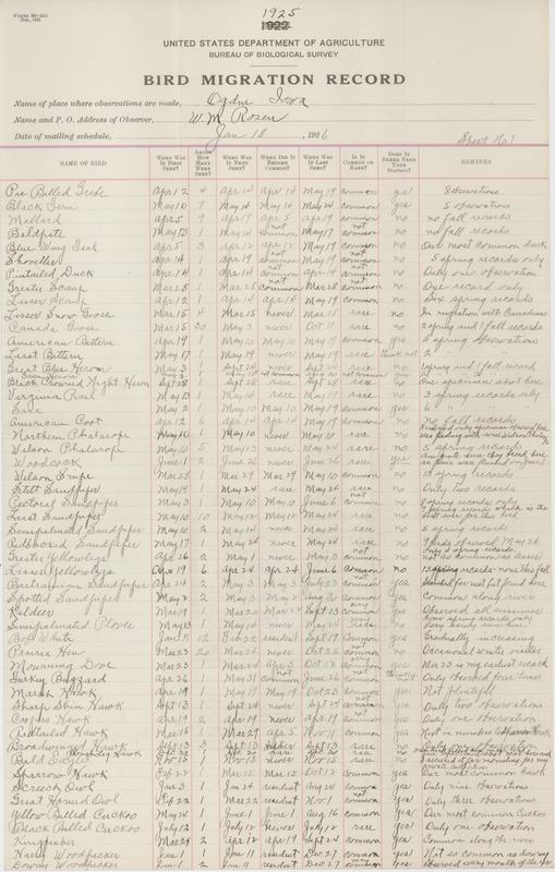 Register dated January 18, 1926. United States Department of Agriculture Bureau of Biological Survey register filled out by Walter Rosene listing migratory birds sighted around Ogden for the 1925 calendar year.