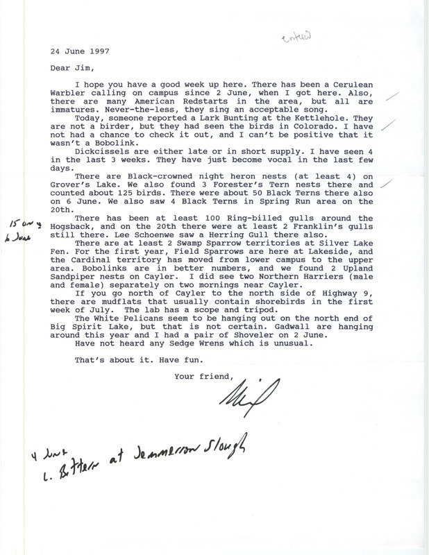 Letter from Neil Bernstein to James J. Dinsmore regarding summer bird sightings, June 24, 1997. This item was used as supporting documentation for the Iowa Ornithologists' Union Quarterly field report of summer 1997.