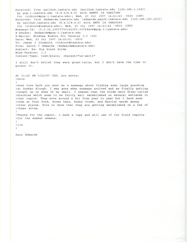 An email response from David C. Edwards to a James J. Dinsmore reply regarding a possible Great-tailed Grackle sighting, July 23, 1997. This item was used as supporting documentation for the Iowa Ornithologists' Union Quarterly field report of summer 1997.