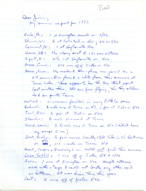 Letter from Bery Engebretsen to James J. Dinsmore regarding summer bird sightings. This item was used as supporting documentation for the Iowa Ornithologists' Union Quarterly field report of summer 1997.